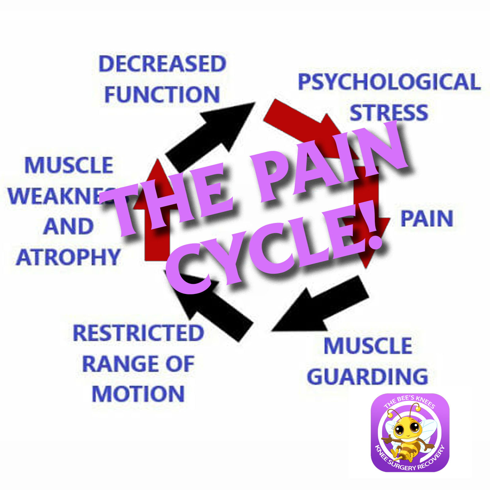 THE-PAIN-CYCLE
